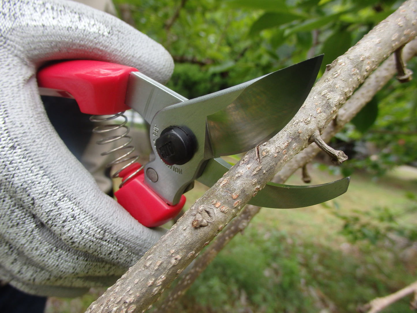 ARS Secateurs 130DX